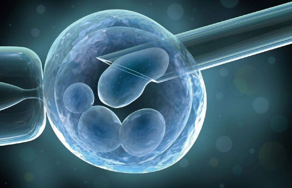 为什么在做供卵自怀做供卵试管中取出的一些卵子不能匹配成胚胎？