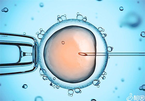 2022沈阳盛京医院和202医院做供卵代怀做供卵试管哪个好？