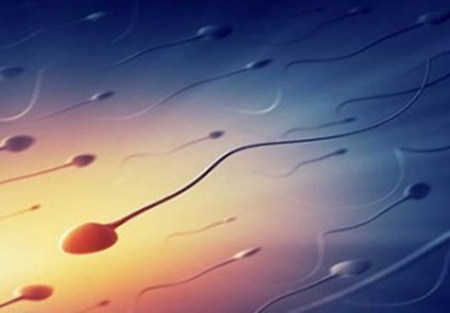 俄罗斯供卵试管三代流程,如何解决子宫内膜