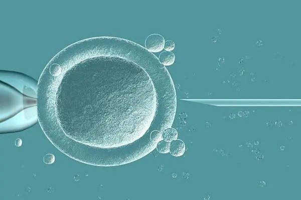 供卵试管婴儿助孕移植成功后怎么保胎