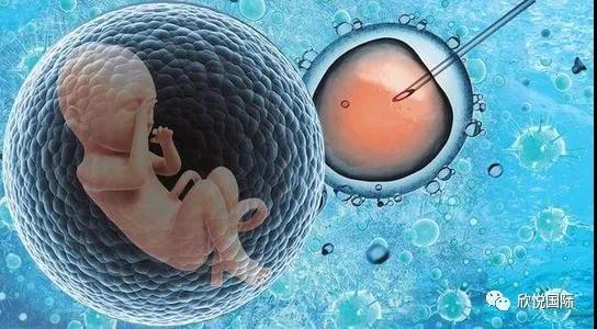 第三代供卵代生咨询技术+真后悔供卵代怀中介