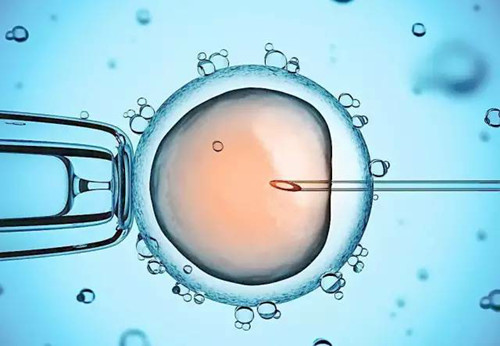 58岁试管代怀属于违法吗移植两枚胚胎生双胞胎的风险大吗