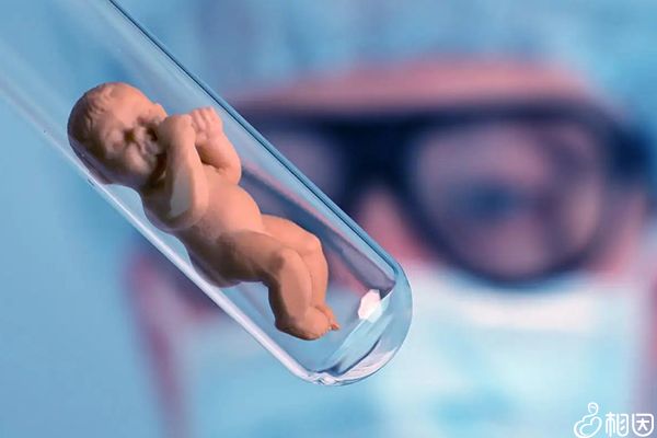 想要双胞胎,是冻胚移植成功率高（还是鲜胚移植成功率高？）